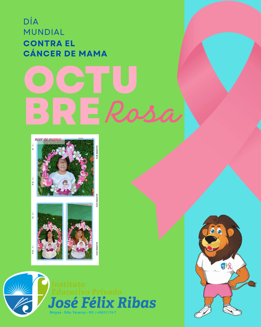 Dia contra el cancer de mama